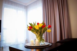 Apartament Prezydent - Gorzów Wielkopolski - 1