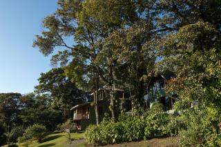 Hotel Flor de Bromelia - Monteverde - 9