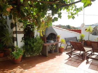 Casa Rural Guiniguada - Santa Brígida - 4