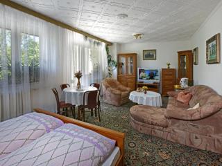 Pension Villa Hany - Mariánské Lázně - 7