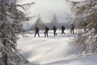 Ranacherhof - Obervellach - 5