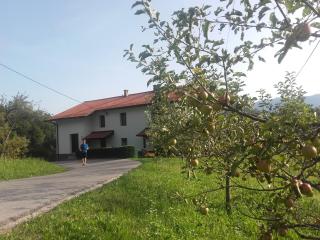 Apartment Bric - Kobarid - 8