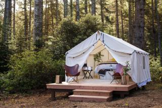Mendocino Grove - Mendocino - 9