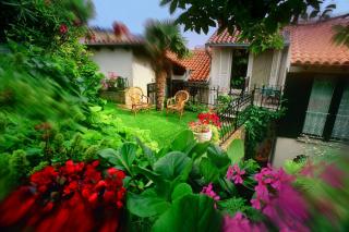 Green Oasis Family Apartments - Piran - 6
