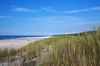 Moje Sasino - dom wakacyjny - 7