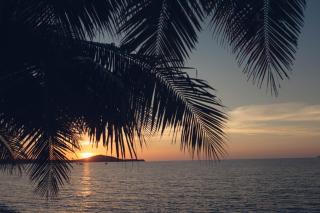 Paradise Beach Resort, Koh Samui - SHA Extra Plus - Mae Nam - 5