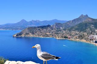 ACAN0306 - Calpe - 9