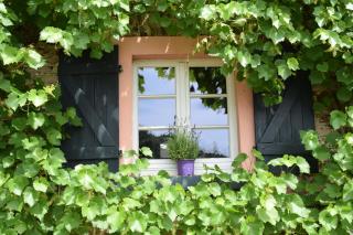 Landhaus am Aremberg / Eifel - 3