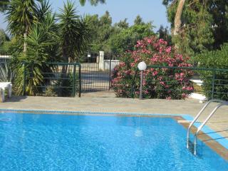 Apartments Seagull - Kos - 3
