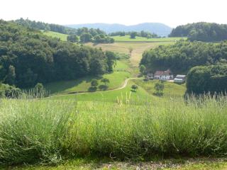 Gîte la Sapinière - Labaroche - 0