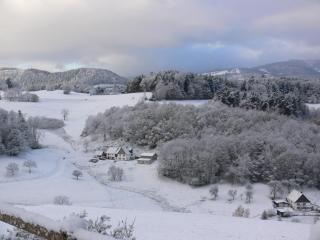 Gîte la Sapinière - Labaroche - 2