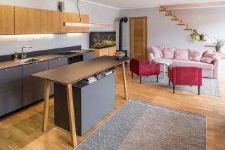 Maironis apartment 2 - Kaunas - 1