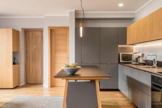 Maironis apartment 2 - 4