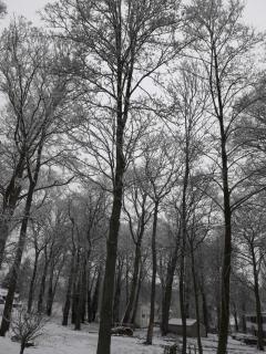 gite du montagnard - 4