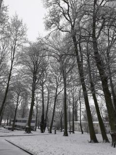 gite du montagnard - 6