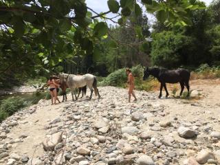 Casetta - Olivese - 5