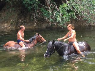 Casetta - Olivese - 6