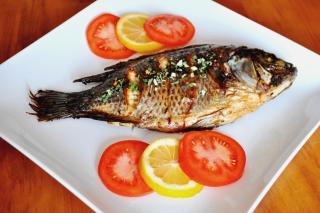 La Maison Blanche - 4