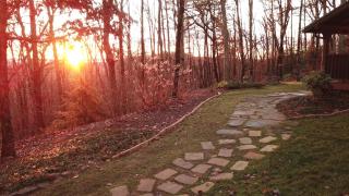 Barefoot Hills - Dahlonega - 8