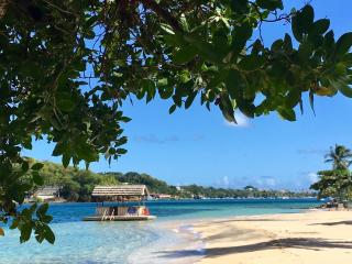 Young Island Resort - 6