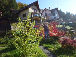 Casa Anca Boutique Hotel - Brasov - 9