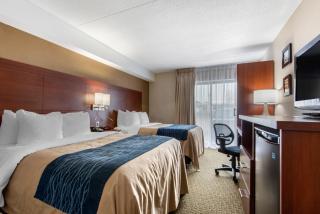 Comfort Inn Airport West - Mississauga - 3