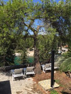 Vila Beba - Milna - 3