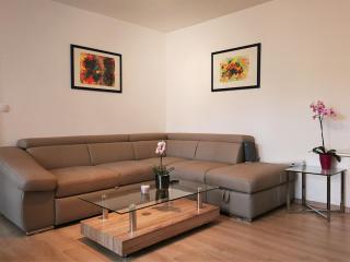 Central-Apt at Lake, CityCenter 5min, Fair 18min!!! - Nuremberg - 5