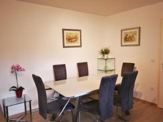 Central-Apt at Lake, CityCenter 5min, Fair 18min!!! - Nuremberg - 4