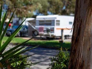 Echo Holiday Parks - Windsor Gardens - Adelaide - 6