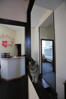 Sakura Inn - Fergana - 0