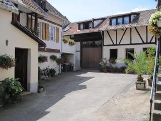 GITE DU FLORIMONT CENTRE ALSACE route des vins - Ingersheim - 6