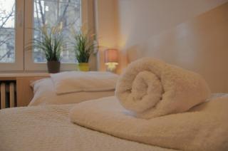 Spacious 2-bedroom apartment with luxury feel - 4