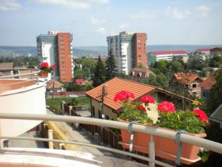 Pension Cluj - Cluj-Napoca - 8