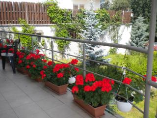 Pension Cluj - Cluj-Napoca - 7