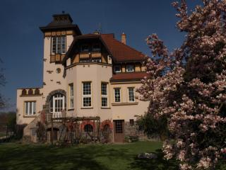 Amálie Vila 1921 secesní nostalgie - Olomouc - 7