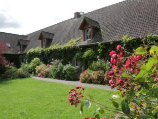 Holiday home with swimming pool - Quend - 9