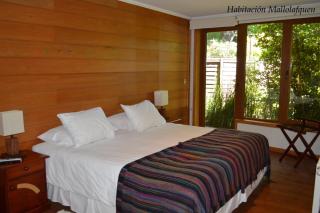 Cocurantu Hotel Boutique - Pucón - 1