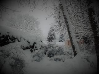 Domaine des Marequiers chambre Alchemille - 9