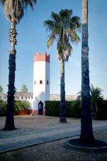 Hacienda de Santa Teresa - 9