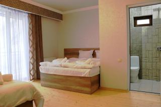 Ketino's Home - Kazbegi - 5