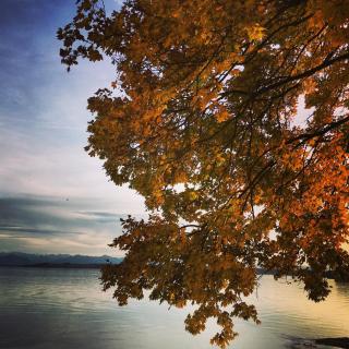 Boutique Hotel Reschen - Tutzing - 5