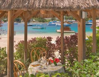 Young Island Resort - Kingstown - 4