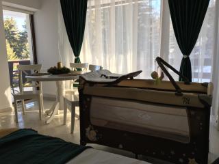 Studio 16 Predeal - Predeal - 5