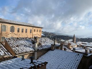B&B Albornoz - Urbino - 7