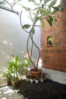 Cipta Guesthouse - Yogyakarta - 4