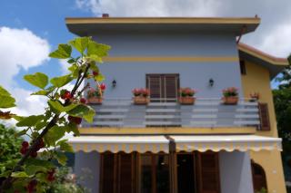 Villa Elisa - Agerola - 4