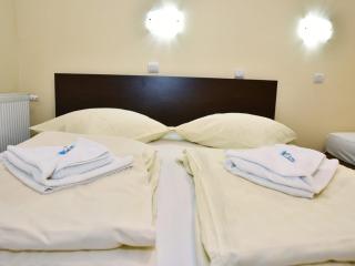 Pensiunea Silba - Vad - 2