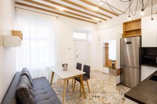 Palace view apartments - 24 Kopernyka str. - 9