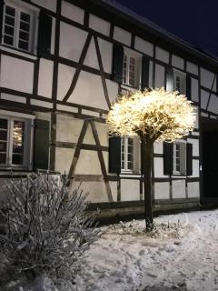 Sonnige Fachwerkwohnung - 7